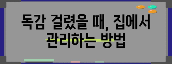 A형, B형 독감 예방과 대처법 가이드