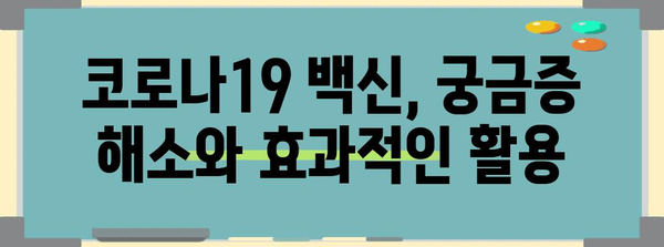 코로나바이러스 예방을 위한 완벽한 가이드 | 2024년 업데이트