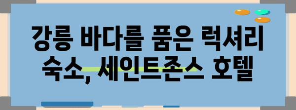 강릉 호캉스 명소 | 애견 동반 가능한 세인트존스 호텔