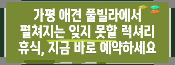 가평 애견 풀빌라 | 반려견과 함께하는 럭셔리 휴식