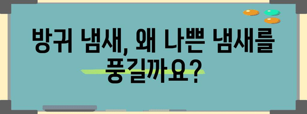 방귀 냄새 해결 책임 | 원인 분석과 효율적인 대응법