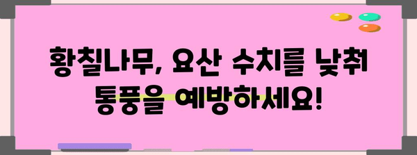 황칠나무의 기적 | 요산치 관리와 통풍 예방의 천연 대안