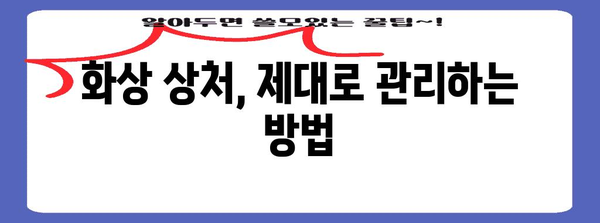 화상 치료 완전 가이드 | 메디폼 습윤밴드부터 상처 관리까지
