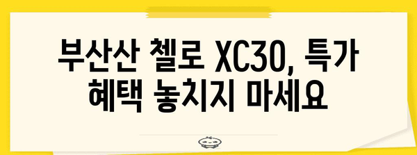 부산산 첼로 XC30 전기자전거 대특가 | 놓치지 마세요!