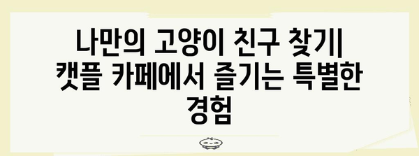 하남 고양이 천국 | 캣플 카페 탐방기