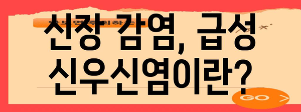 급성 신우신염 이해하기 | 원인, 증상, 치료법