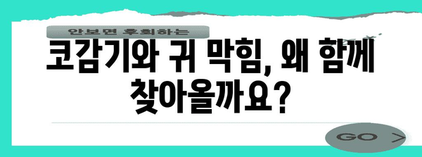 코감기와 귀 막힘의 이해와 예방법