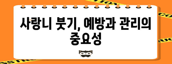 사랑니로 인한 턱 밑 붓기 해결책 | 집에서부터 외과적 시술까지