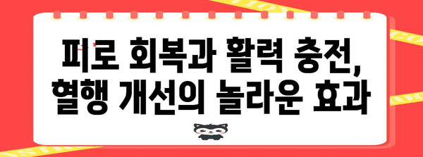 내 몸에 활력을 불어넣는 혈행 개선 영양제 효과