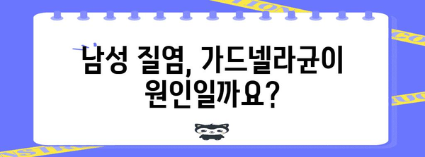 남성 질염 완벽 정복! 가드넬라균 원인과 치료법 알아보기