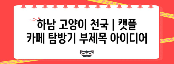 하남 고양이 천국 | 캣플 카페 탐방기
