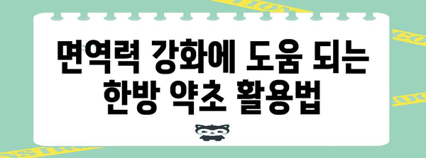 맛있는 한방 약초로 건강한 식단 완성하기