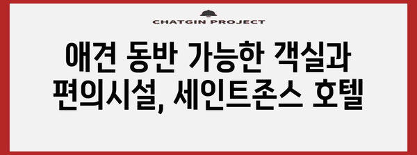 강릉 호캉스 명소 | 애견 동반 가능한 세인트존스 호텔