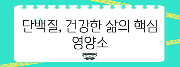 필수 단백질 가이드 | 건강한 삶의 기반