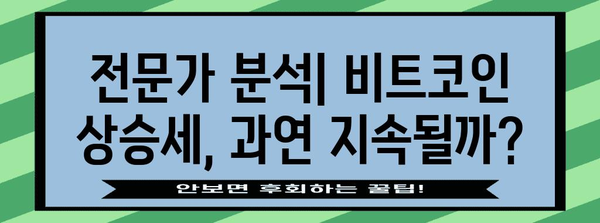 비트코인 상승 구간 | 정부 정책 기대와 단기 투자 전략