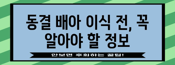 시험관 시술 기록 및 동결 배아 이식 안내