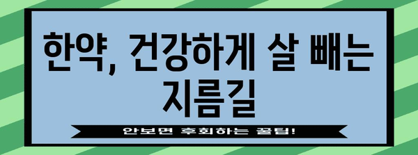 한약을 활용한 건강한 체중 관리 | 살찌기 쉬운 계절별 다이어트 대책