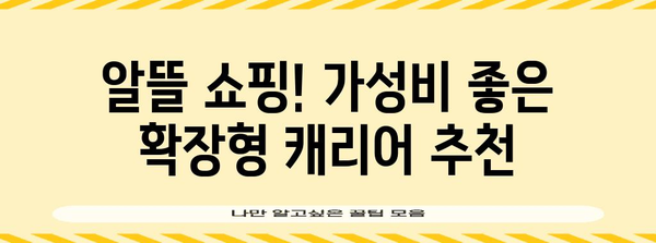 확장형 캐리어 선별 가이드 | 용량, 기능, 브랜드 대조