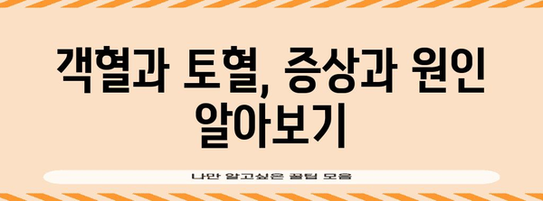 목에서 피 섞인 가래, 객혈과 토혈 구별 방법