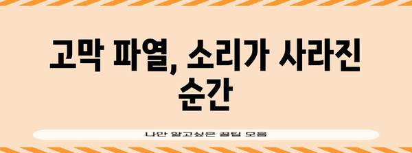 고막 파열 | 소리가 들리지 않는 증상의 진상