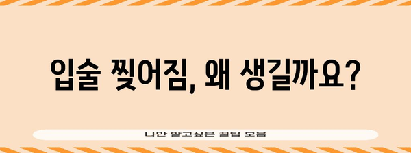 입술 찢어짐의 원인과 완벽한 해결책