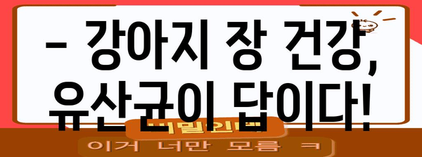 강아지 장 건강 유지의 비밀 | 유산균의 중요성과 면역력 증진법