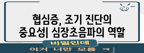 심장초음파로 협심증 조기 진단하기