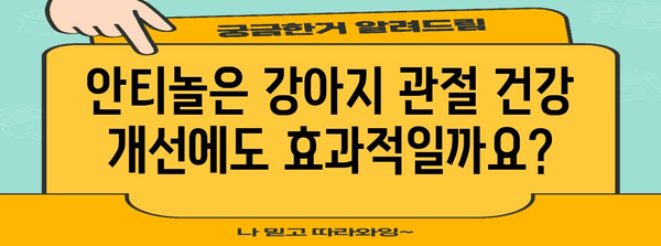 강아지 관절염 통증을 완화하는 안티놀의 효능