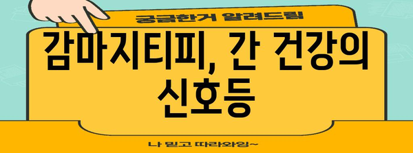 간 질환 이해의 열쇠 | 감마지티피 수치 해석