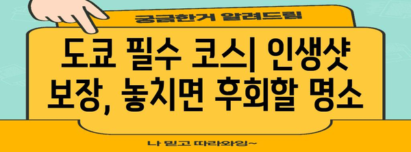 도쿄에서 실패 없는 여행 | 필수 코스, 호텔 추천, 쇼핑 팁