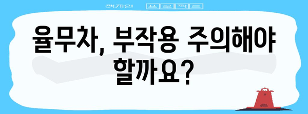 율무차 효능과 부작용 | 임산부 주의사항