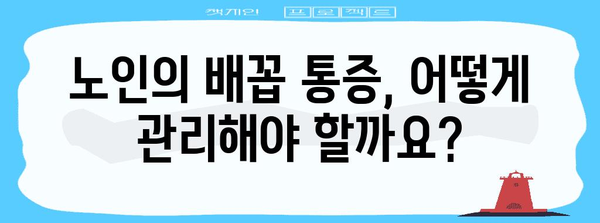노인 돌봄 | 오른쪽 배꼽 통증의 원인 이해와 관리