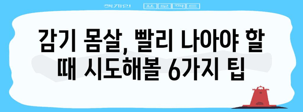 감기 몸살 해결책 | 6가지 빠른 극복 방법