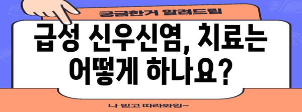 급성 신우신염 이해하기 | 원인, 증상, 치료법