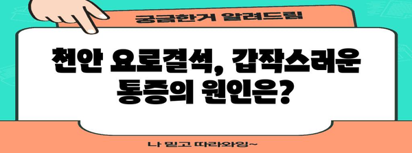 천안 요로결석 통증의 근원 파악