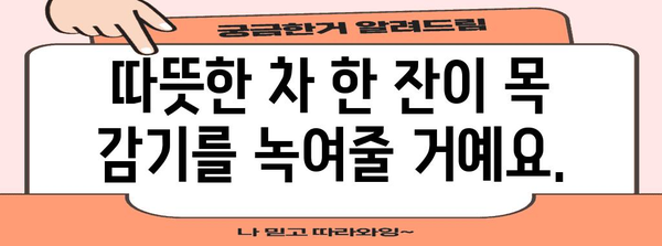 겨울철 목 감기 완화법 | 천연 대안과 효과적 가정 요법