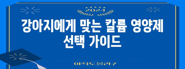 강아지 건강 필수 | 칼륨 영양제 비교 가이드