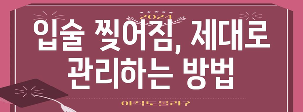 입술 찢어짐의 원인과 완벽한 해결책