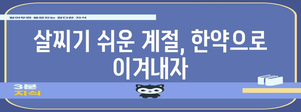 한약을 활용한 건강한 체중 관리 | 살찌기 쉬운 계절별 다이어트 대책