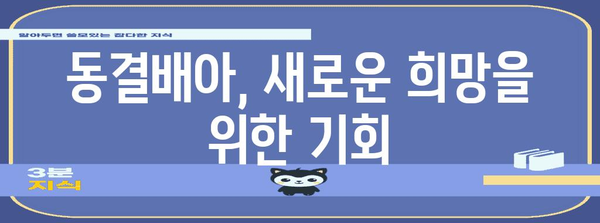 시험관 시술 기록 관리와 동결배아 결정