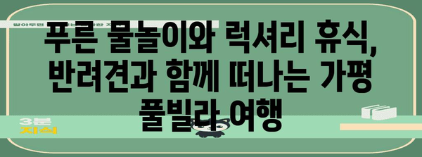 가평 애견 풀빌라 | 반려견과 함께하는 럭셔리 휴식