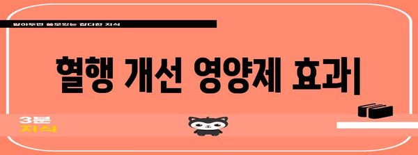 내 몸에 활력을 불어넣는 혈행 개선 영양제 효과