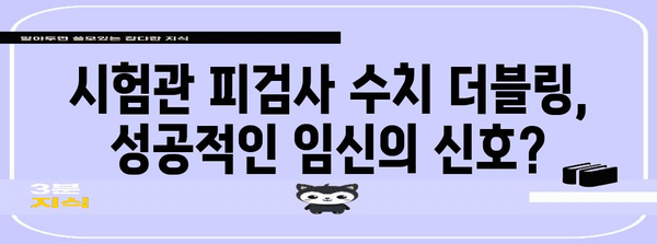 시험관 피검사 수치 더블링이 의미하는 바