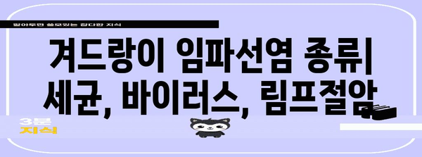 겨드랑이 임파선염 증상 가이드 | 원인, 치료법, 종류별 이해