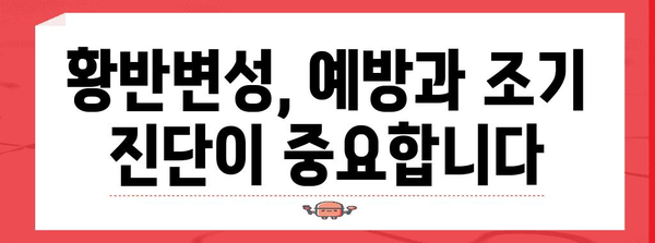 황반 변성 치료제 가이드, 효과적 관리 안내서