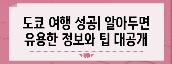 도쿄에서 실패 없는 여행 | 필수 코스, 호텔 추천, 쇼핑 팁