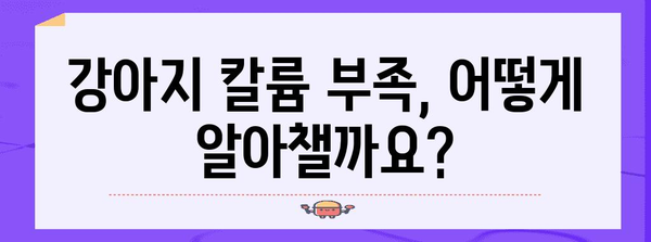 강아지 건강 필수 | 칼륨 영양제 비교 가이드