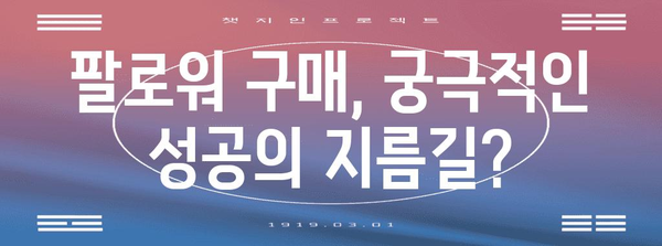 TikTok 팔로워 구매법 | 성공적 마케팅을 위한 요령