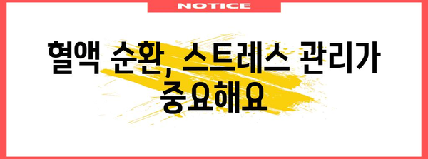 혈행 개선을 위한 실용적인 팁과 솔루션