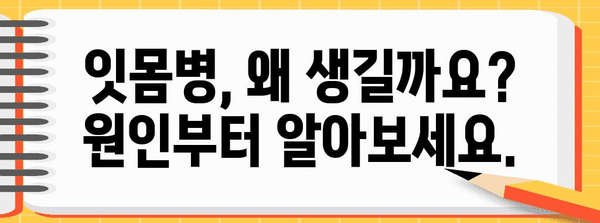 잇몸 건강 개선 가이드 | 원인 파악부터 해결까지